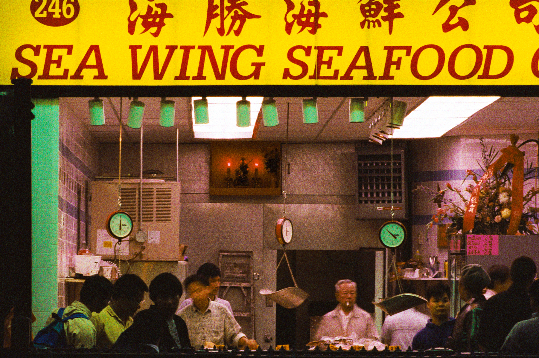 Sea Wing Seafood